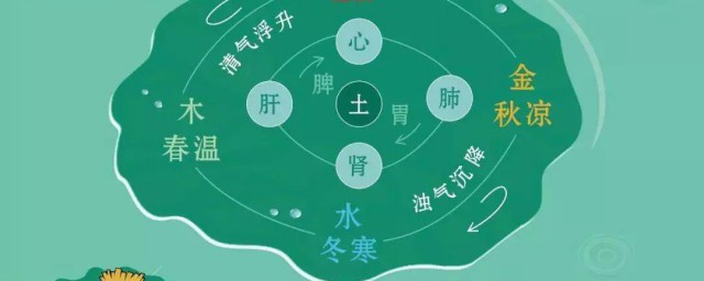 中醫說春生夏長秋收冬藏什么意思