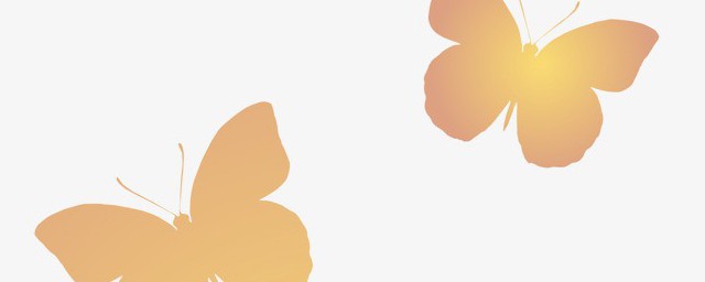 昆蟲(chóng)的觸角什么形狀的