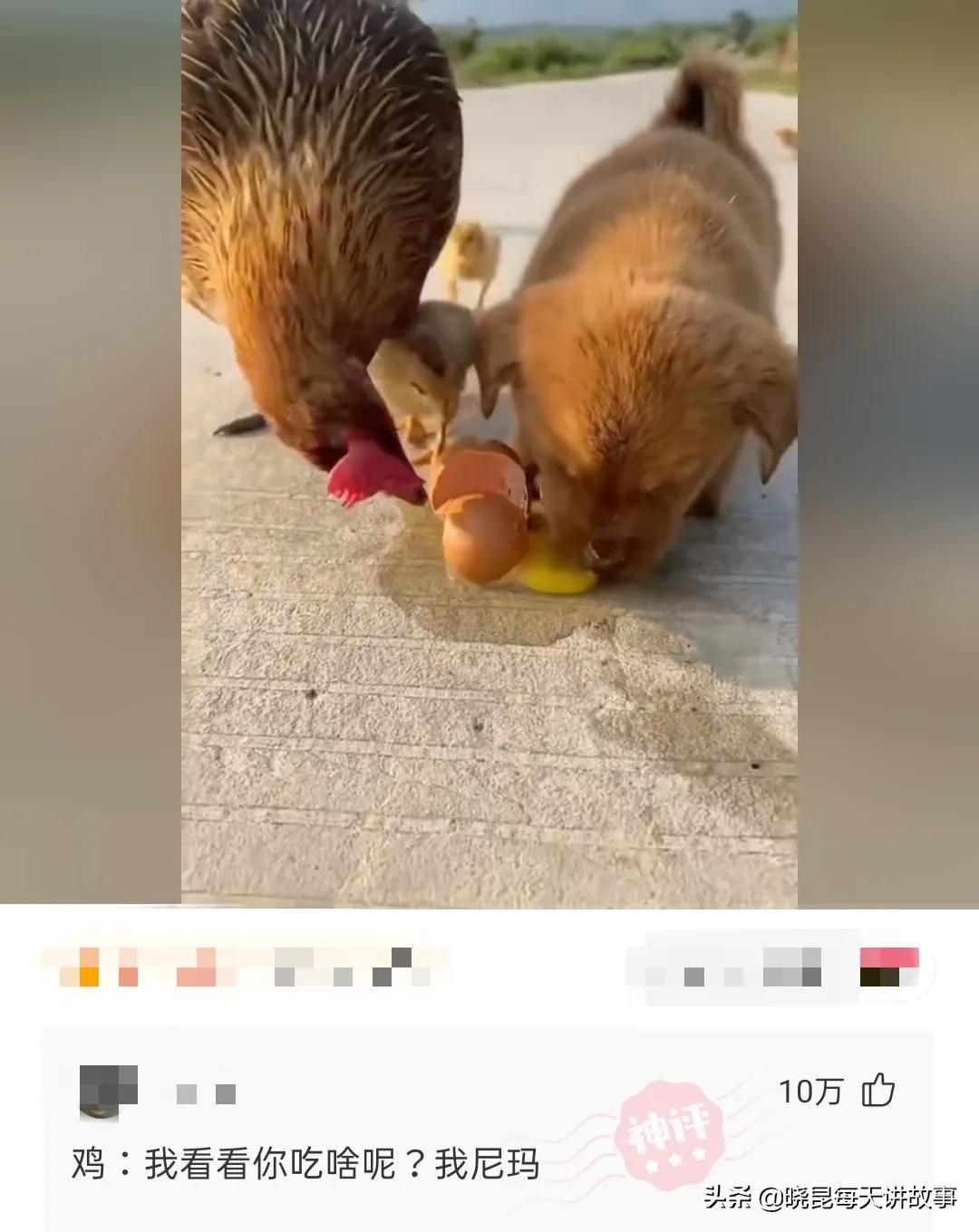 如果國足獲得世界杯冠軍（神回復：如果我帶領國足贏得世界杯，我會是什么待遇？神評絕了）