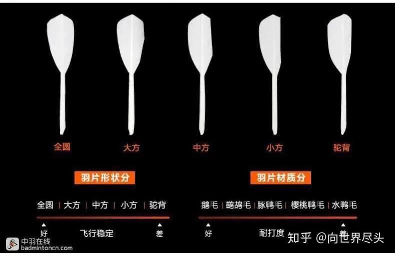 威克多哪款羽毛球貴（羽毛球！你憑啥這么貴？作者為你分析推薦實(shí)惠（我不是帶貨的））