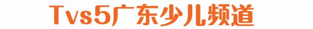橄欖球四分衛(wèi)要求（小桂英語｜橄欖球四分衛(wèi)戰(zhàn)術，你學會了嗎？）