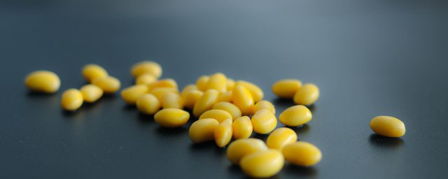 大豆與黃豆的區(qū)別是什么