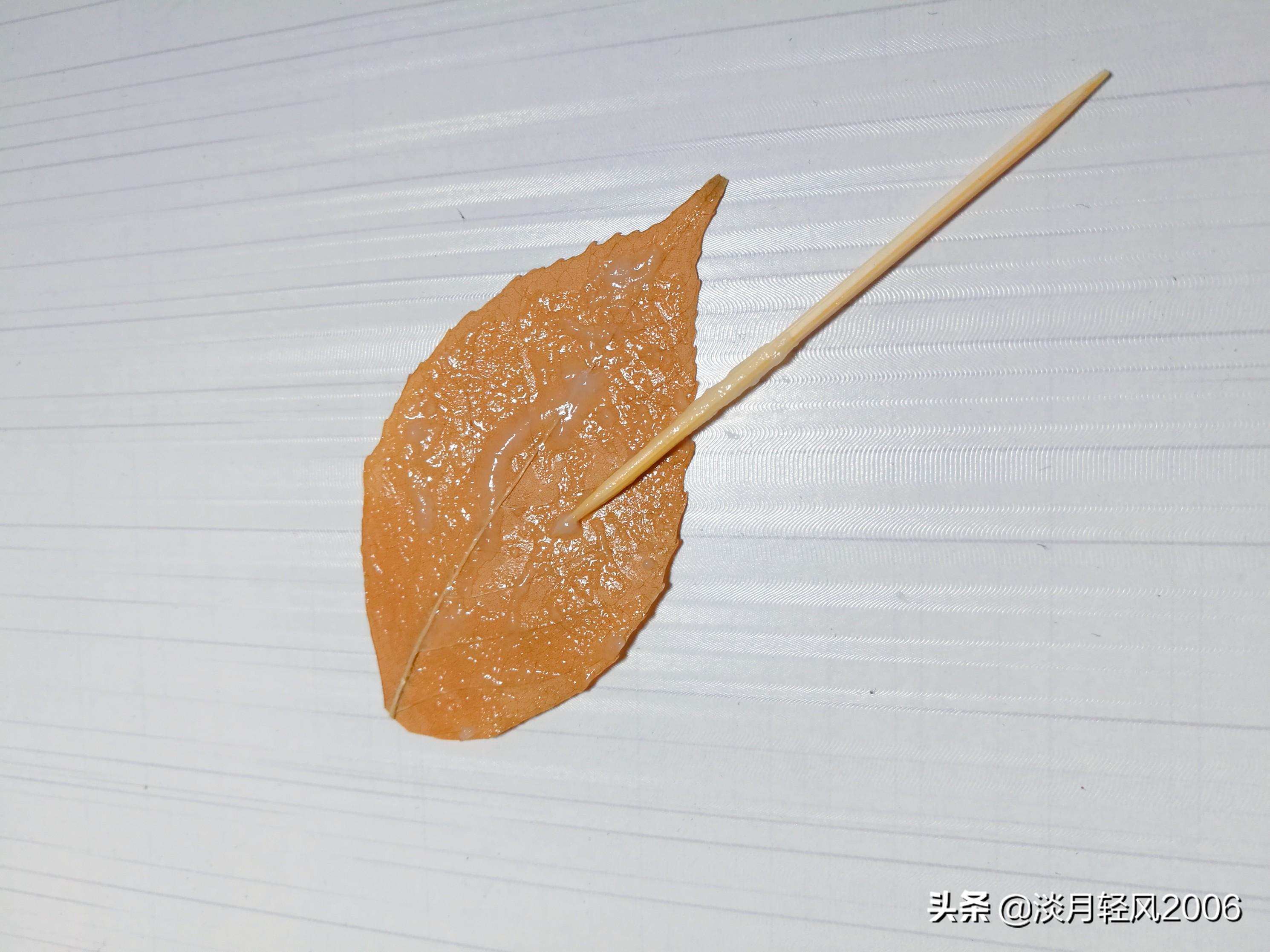 樹葉畫手工貼畫（幼兒手工，簡單葉貼畫，樹葉貼小鳥教程，孩子一學(xué)就會(huì)）