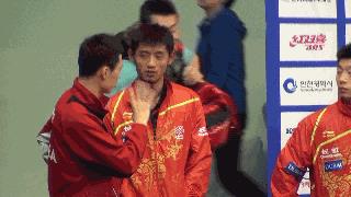 許昕為什么不參加個人（冷知識：老婆為他放棄了自己的事業(yè)，關(guān)于許昕你不知道的13件小事）
