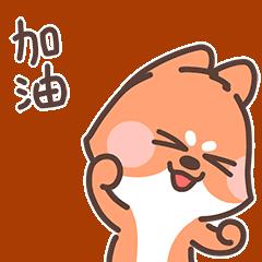 四川足球張力（入省隊 戰全運！雁江這倆“足球小子”未來可期）