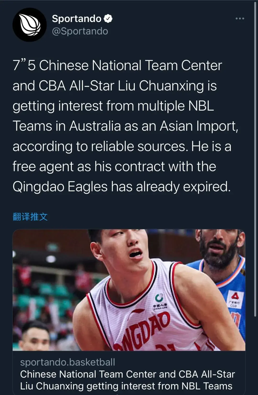 劉傳興nbl首秀驚艷全場（喜訊！國產中鋒被海外聯賽看上，他從交易添頭拼到全明星）