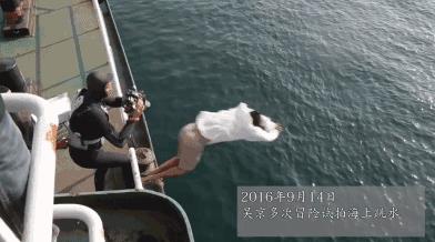 北京冬奧會火炬手（受主流認可、當冬奧會火炬手的8位明星，各個有實力，備受認可）