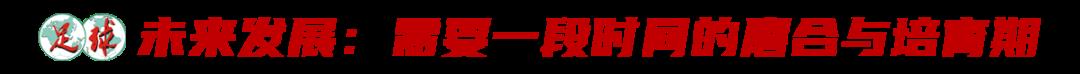 足球u19是什么意思（中國青少年足球聯賽正式落地：初中組是關鍵！現在和未來的難點在哪？）