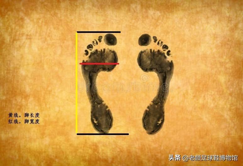 踢足球適合穿什么鞋（來個技術(shù)貼，足球鞋選購小竅門，如何網(wǎng)購一雙適合自己的球鞋）