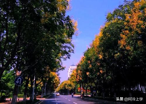 維奇是條黑黃雙色犬（《失重的榮譽》警犬維奇爭名奪利，做錯事會心虛，你想錯了）