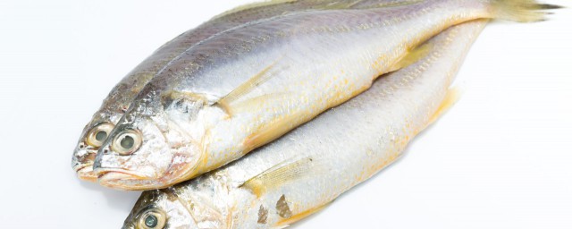 怎樣燉黃花魚