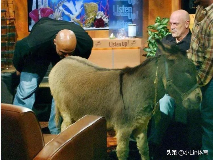 姚明經(jīng)典比賽（姚明生涯中的這些經(jīng)典比賽，你還記得它們嗎？）