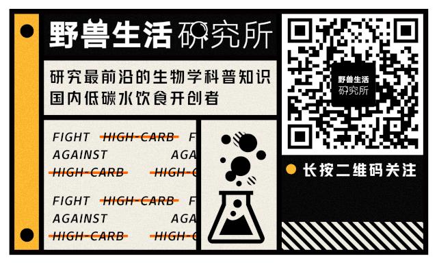 為什么nba不吃碳水化合物（詹姆斯、科比等NBA球星都使用過(guò)的健身方法....你要不要學(xué)一下？）