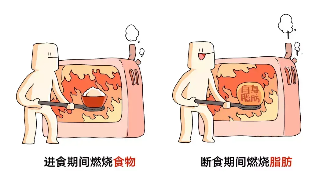 為什么nba不吃碳水化合物（詹姆斯、科比等NBA球星都使用過(guò)的健身方法....你要不要學(xué)一下？）