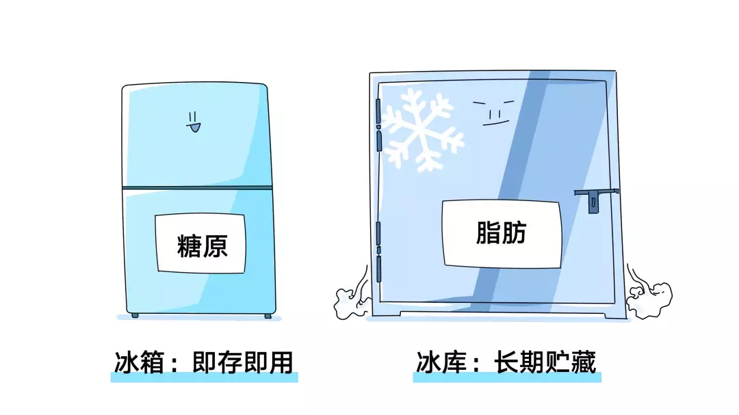 為什么nba不吃碳水化合物（詹姆斯、科比等NBA球星都使用過(guò)的健身方法....你要不要學(xué)一下？）