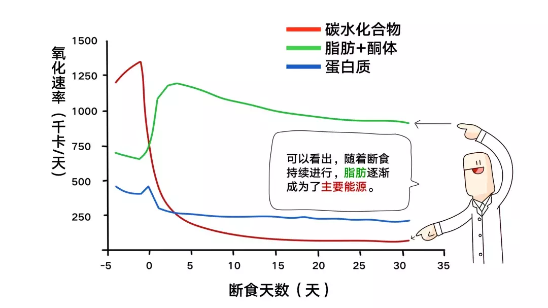 為什么nba不吃碳水化合物（詹姆斯、科比等NBA球星都使用過(guò)的健身方法....你要不要學(xué)一下？）