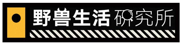為什么nba不吃碳水化合物（詹姆斯、科比等NBA球星都使用過(guò)的健身方法....你要不要學(xué)一下？）
