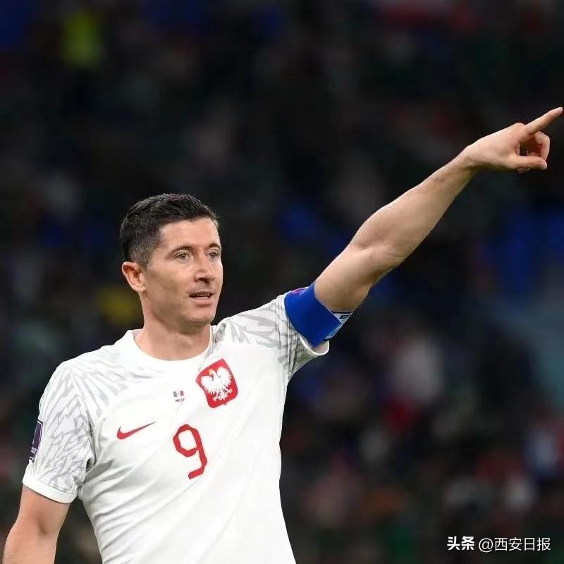 世界杯高盧雄雞陣容（世界杯前瞻 - 阿根廷隊亟待救贖，“高盧雄雞”高歌猛進）