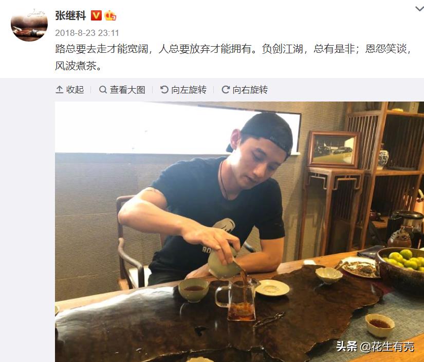 張繼科哪一年的奧運冠軍（20年后再看張繼科：才明白他“退隱”背后，劉國梁有多意難平）