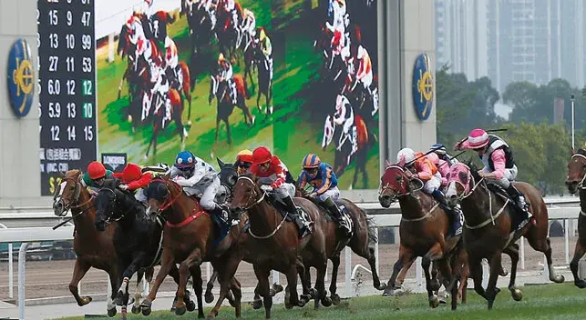 香港賽馬協會（高層年薪高過港大校長的香港賽馬會，到底是個什么機構？）