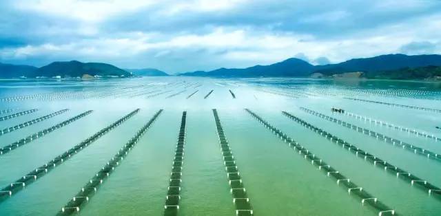 象山縣室內網球場（象山五一旅游全攻略！吃喝玩樂、交通提醒，統統都有！）