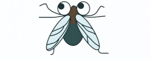 人類根據(jù)蒼蠅發(fā)明了什么